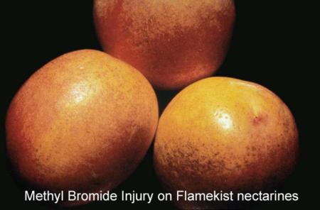 Methyl Bromide Injury (1)